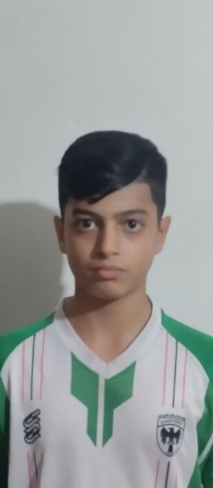 پارسا رحمانی