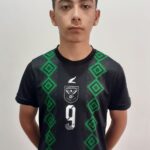 امیرعلی شیرخانی