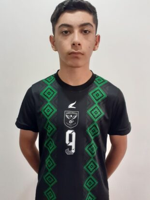 امیرعلی شیرخانی