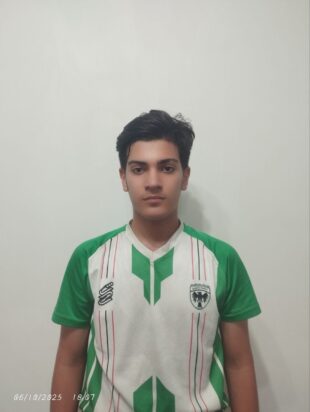 امیرمحمد صفائی