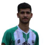 آرین دیداری