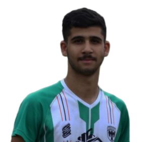 آرین دیداری