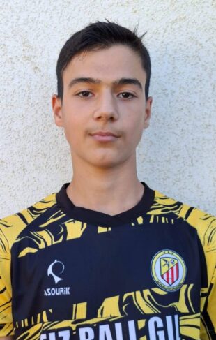 امیرعلی معزی