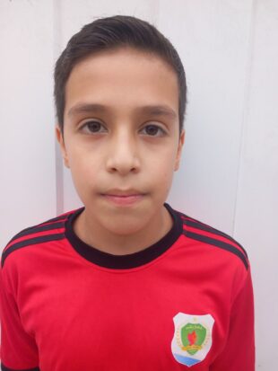 آرتین علیپور