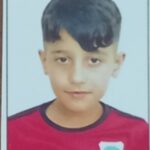 آرشام فاخته