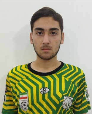 محمدپارسا عزیززاده