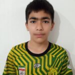 امیرعلی نوعی