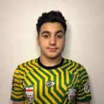 شاهین عباسی