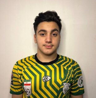 شاهین عباسی