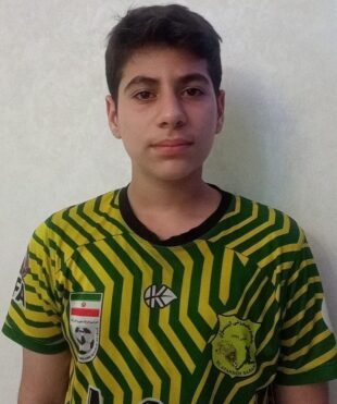 امیرمحمد ایلی