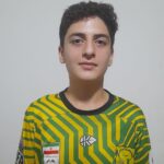 محمدامین لاجوردی