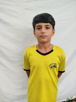 علی اصغر شباهنگ