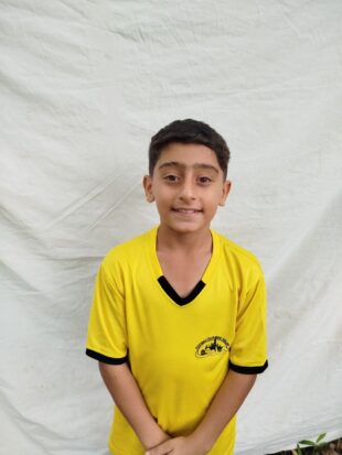 امیرمهدی بهاری