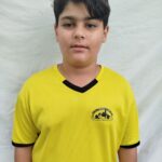 مهدیار شهامتی