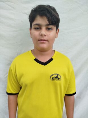 مهدیار شهامتی