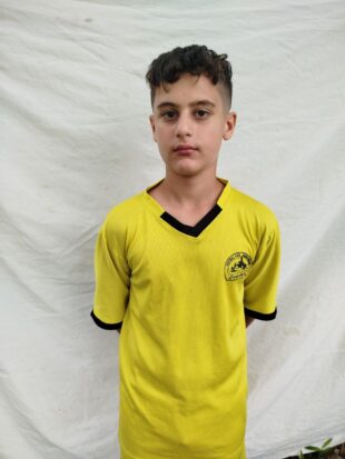 آرتین فروغی