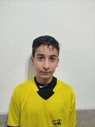 ابوالفضل محسنی