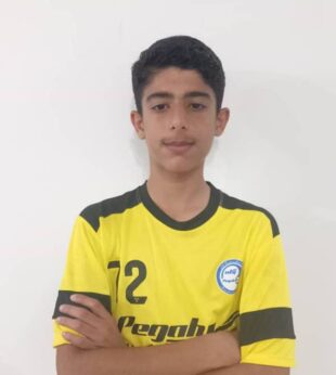 امیرمهدی مشهور