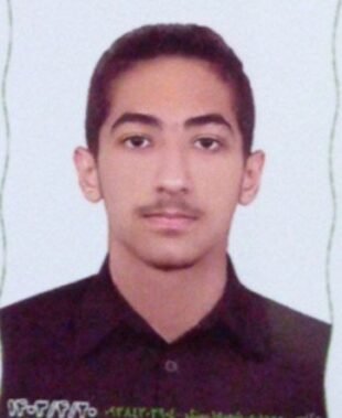 ایلیا شبرنگ