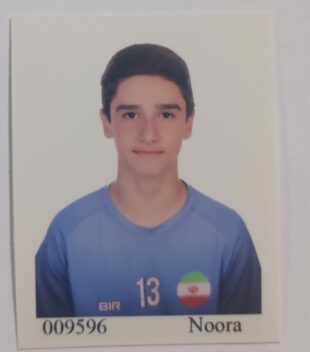 آرتین رهنما حاجی دهی