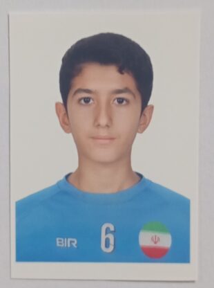 امیرعلی خوشنگار شهرستانی