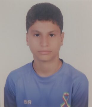 محمد خوش انس شالدهی