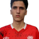 امیرمحمد جعفرپور