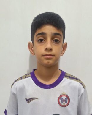 مهدی میرزائی تیسه