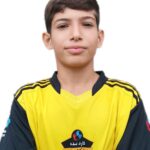 مرصاد عاطفی