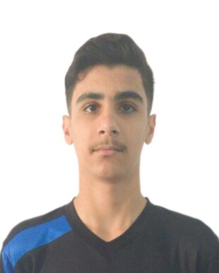 امیر علی مهدوی