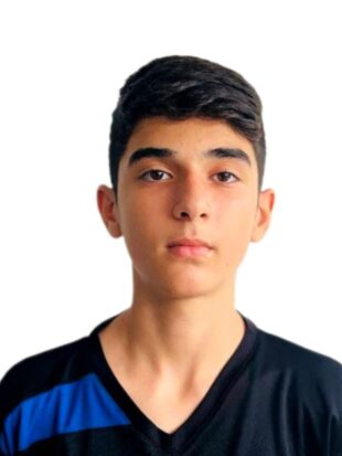 امیر علی ملک نژاد