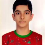 محمدحسین صفری