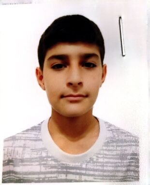 محمدمهدی جمالی