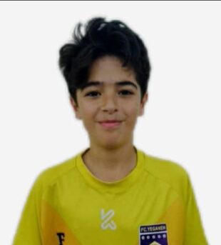 امیر علی بهدانی