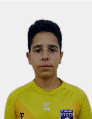 امیرعلی فردوسی