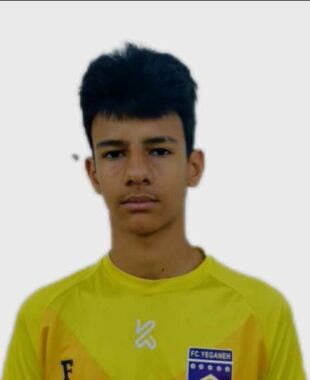 سپهر برگ بیدی