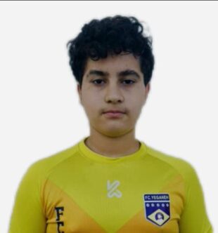 آروین پورصحرانورد