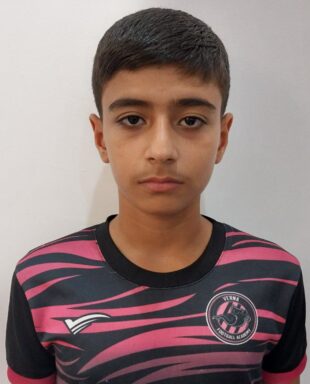 محمدمهدی رادمند