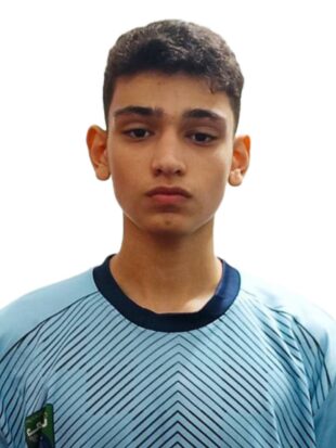 آرتین علی خواه