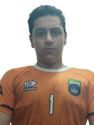 ابوالفضل حسن پور