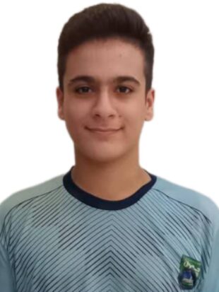 محمد حسین کمالی