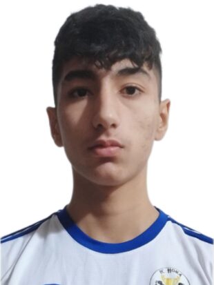 آران طلاکوبی