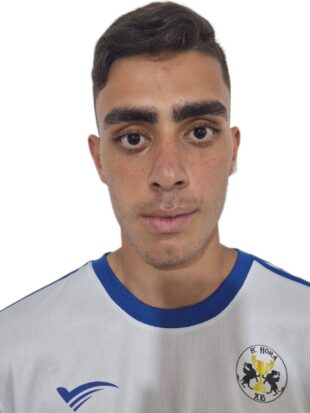 امیرعلی فهیم