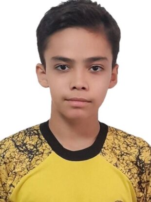 امیرحسین باقری