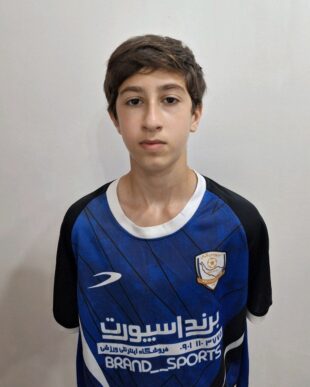 امیررضا زیبائی