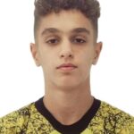 هیراد نیک صفت