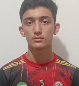 امیر حسین حقگو