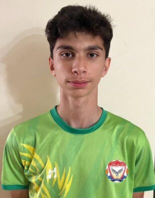 مهدی شیرزاد