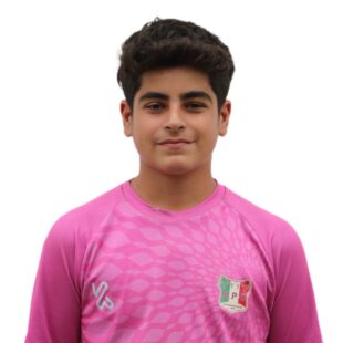 آرشام طاهری