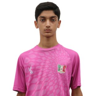 امیر حسین عباس قلی زاده